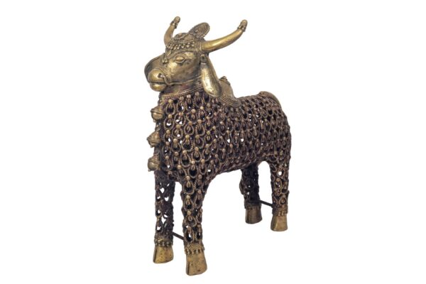 JAALI NANDI