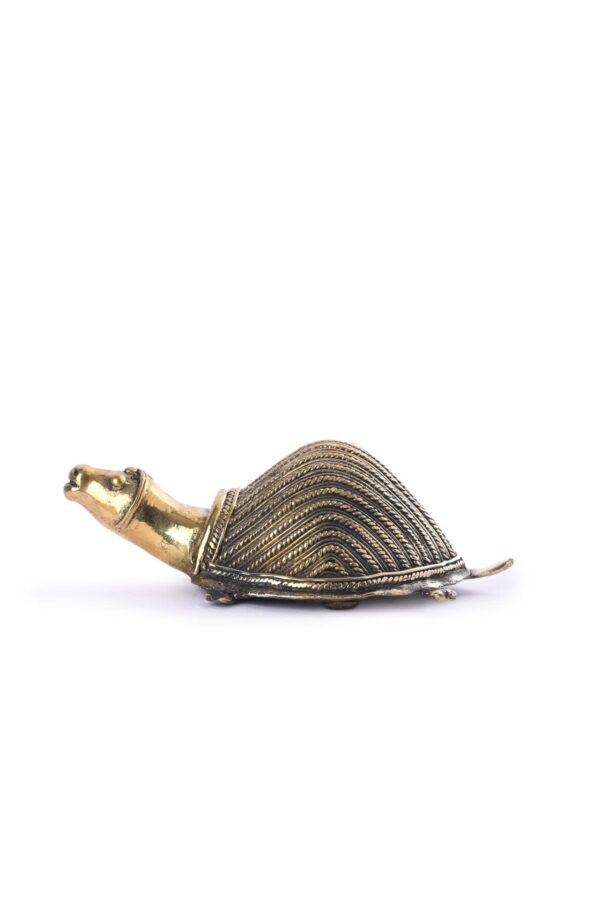 Tortoise