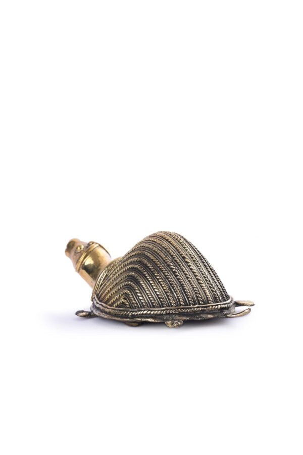 Tortoise