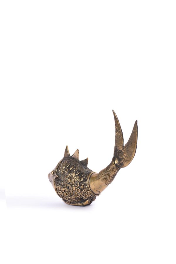 Small Fish For Décor