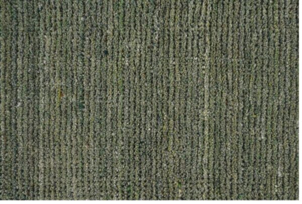 Kesar Moss Handloom Woolen Carpets and Rugs